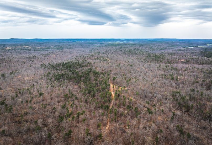 DJI_20250403135901_0622_D