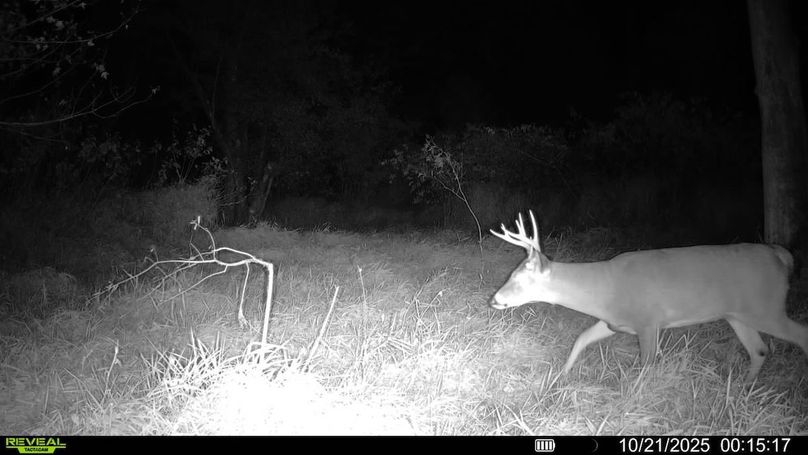 016579008159910-100-4-10212025001517-SYFW00192