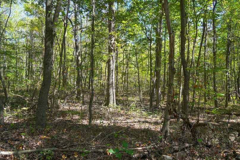 Fayette, 199, Hostetler-23