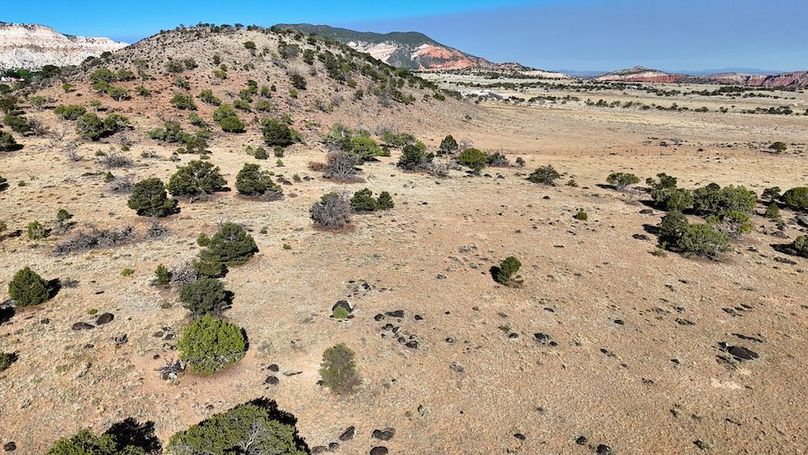 DJI_20250620083334_0164_D