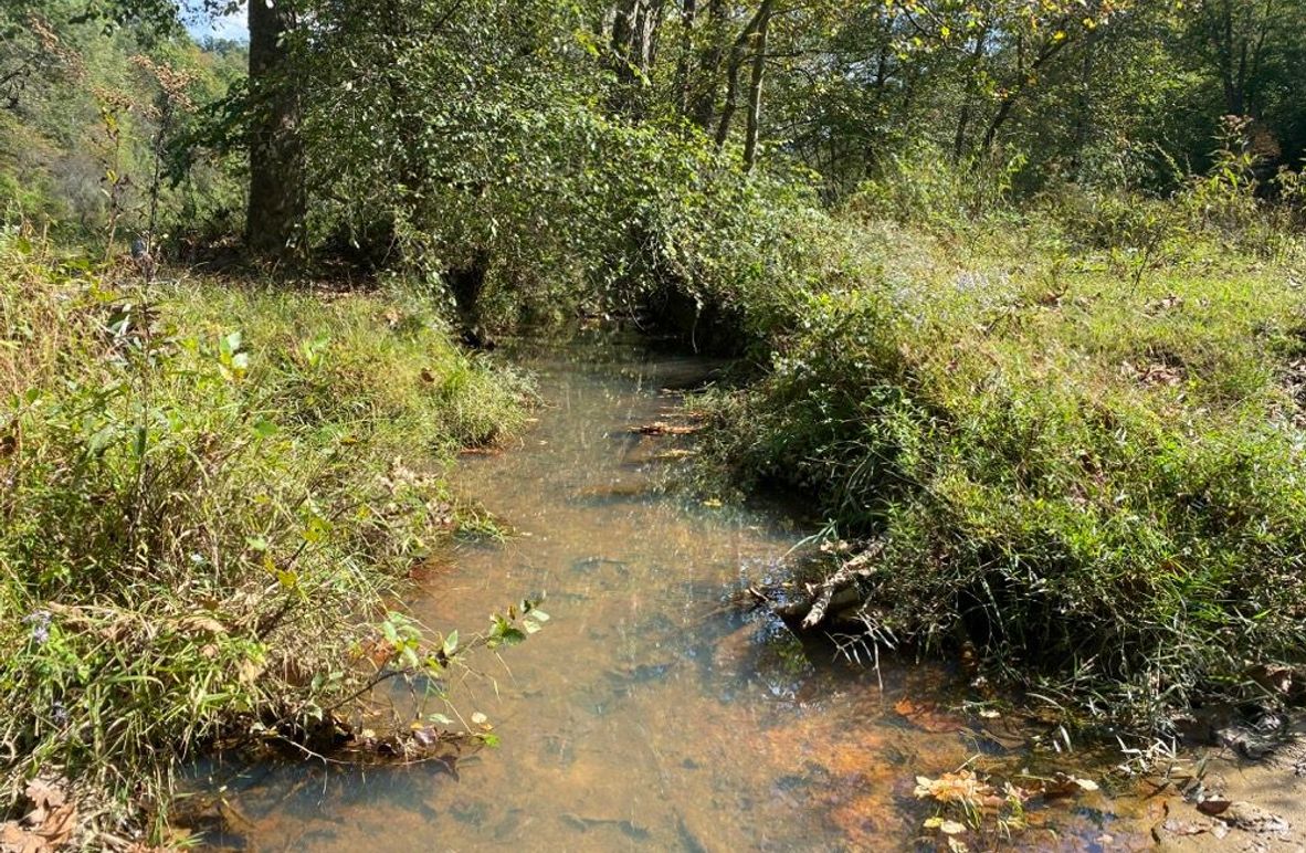 005 the main creek (Trent Fork) that flows through the property 