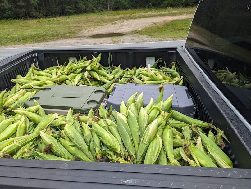 PXL_20230710_143423951