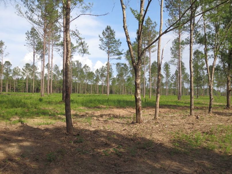 E88F8E3E-53FA-4ABB-9BDA-965D9BDD2AF6_1_105_c