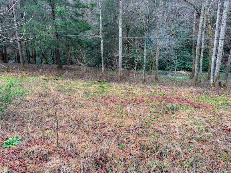 Braxton, WV 2.31 AC Winslow_Cole-01