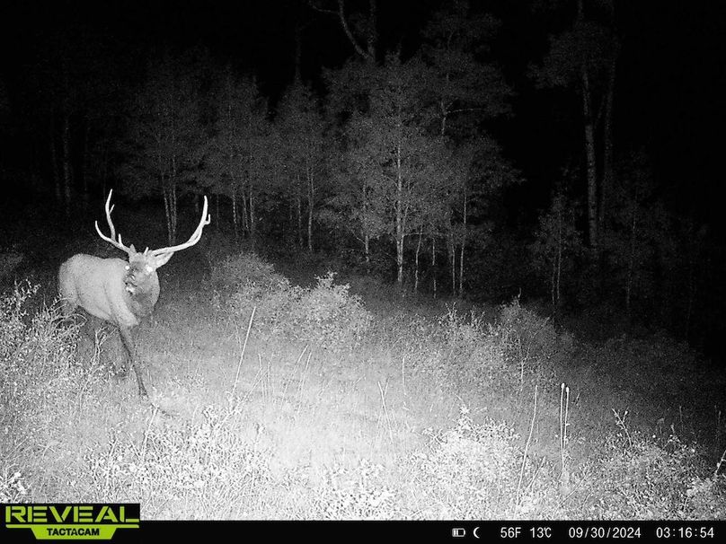 Copy of 864049052055672-20-4-09302024031654-HD-W1001290 (1)