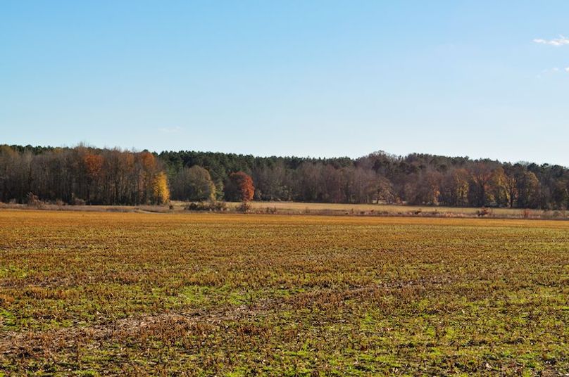 Lafayette 283.5 Jackson Initial Listing Photos -22