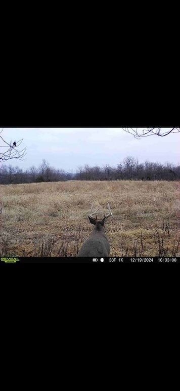 Screenshot 2026-02-27 at 4.12.32 PM