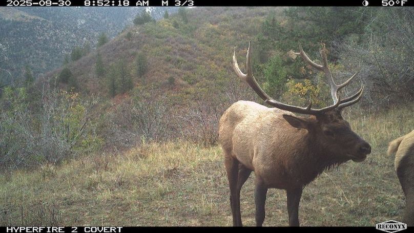 0CD1F518-5B9B-446D-8712-984F6D2F7D3C