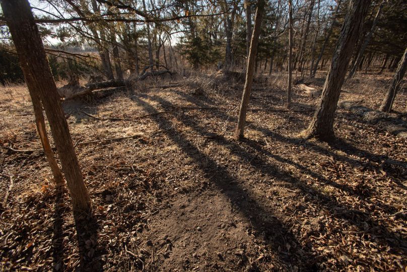 WORTH CO MO 537.44_91