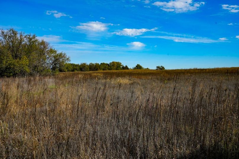 Dickinson Co, 154.5_041