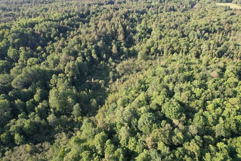 Jefferson_260.3_ Lobach_Photos_72