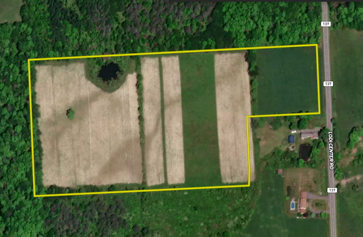 Seneca_24.54_Hohwald_Landid_1_