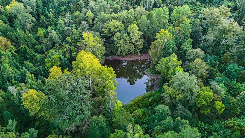 Hinds Co - 78 - Newman-12