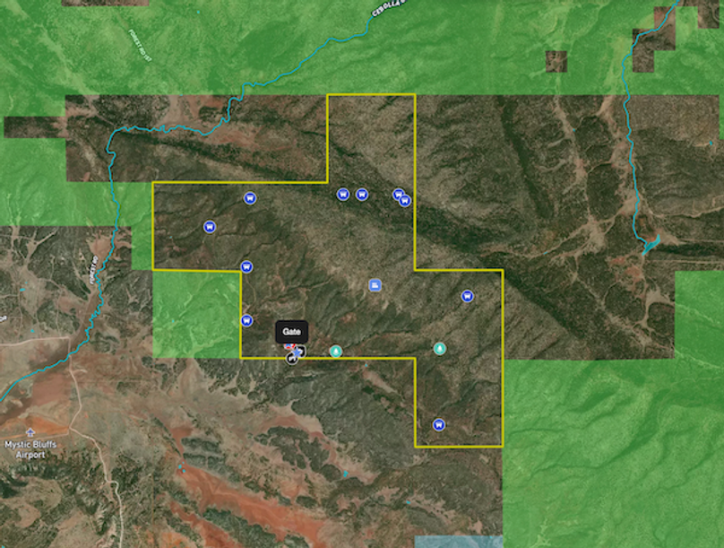 Screenshot 2025-06-27 at 10.20.10 AM