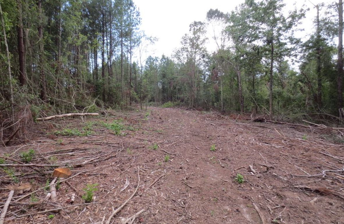 27B31FBF-D8A9-4040-924C-D826B6385440_1_105_c