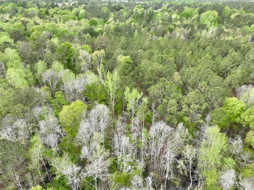 dji_fly_20260330_151858_449_1774898604409_photo