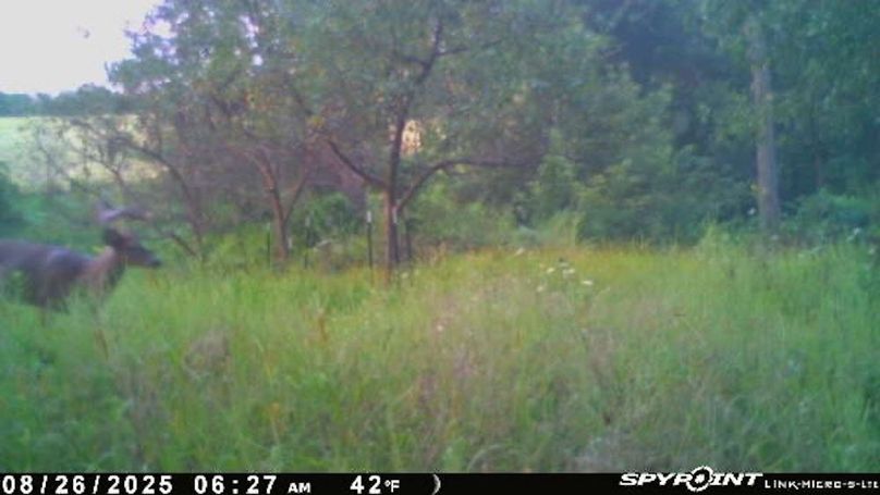 Image-1(11)