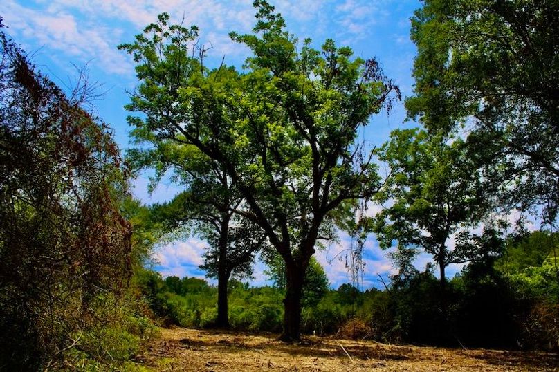 4D2BBEE3-9C5D-49F6-9769-B5C0A9A47023_1_105_c