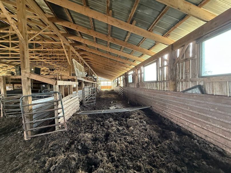 Chemung_184.12_Sterling 31b