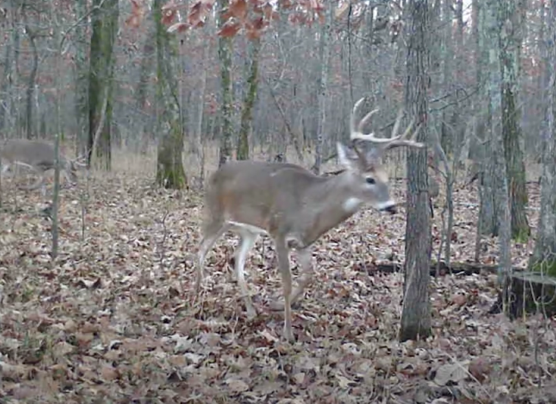 Screen Shot 2024-01-22 at 6.10.04 AM