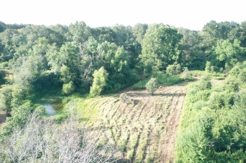 DJI_0633