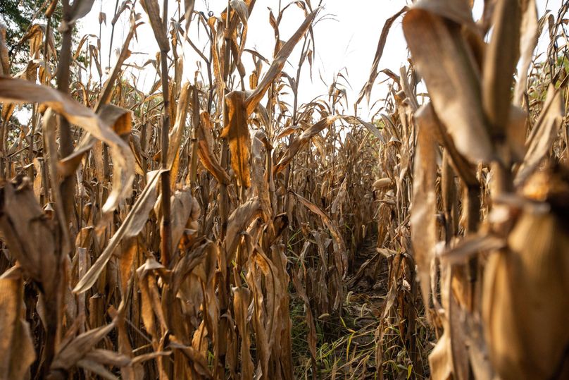 FREMONT CO. IA 158.32_69