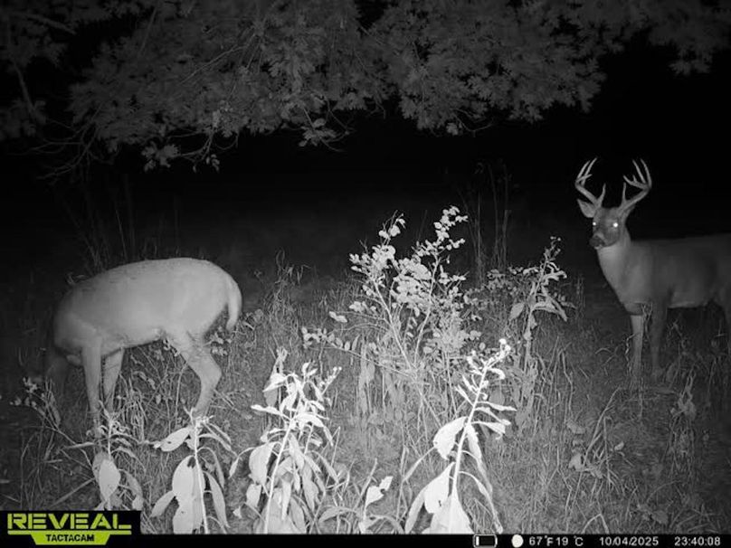 Trail Cam 5