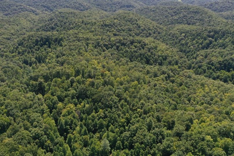 015 aerial drone shot from Blaines Br. Road looking to the southwest onto the property