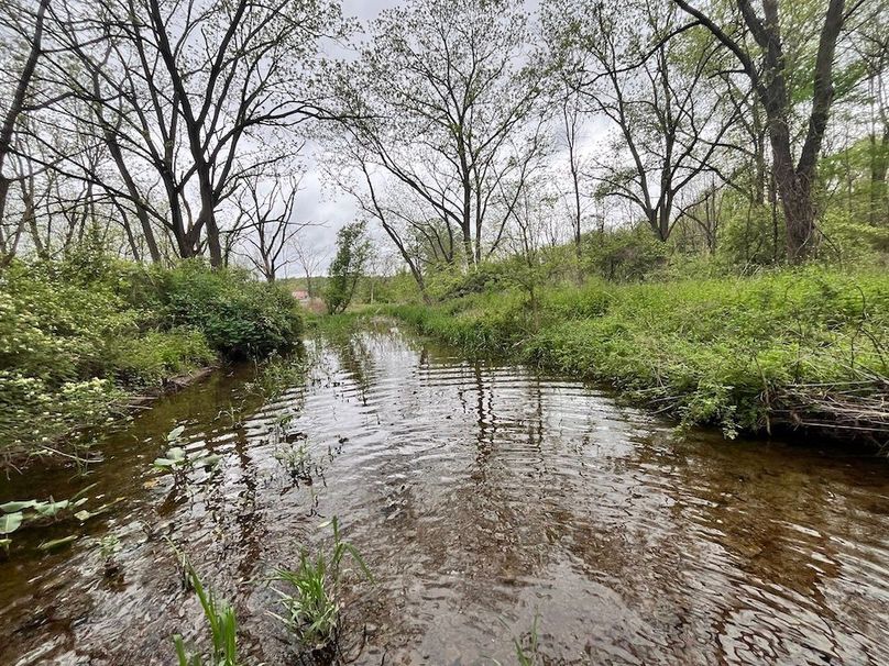 Chemung_3.5_Rouseland Photo 22