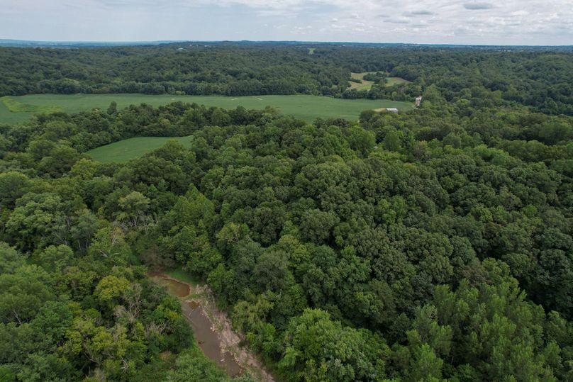 DJI_0049