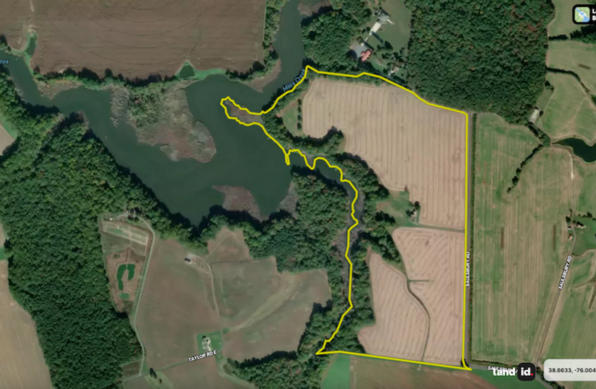 Screenshot 2026-02-12 at 3.00.23 PM