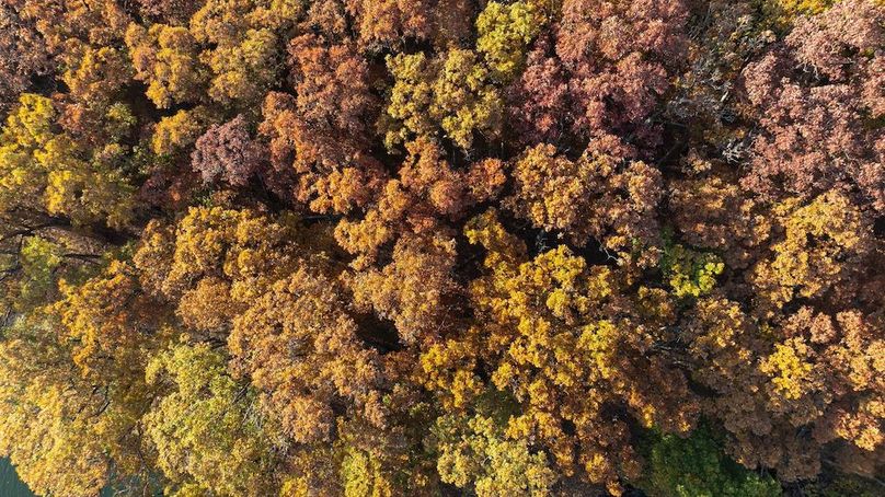 Howard MO 158 Pro Photo-39