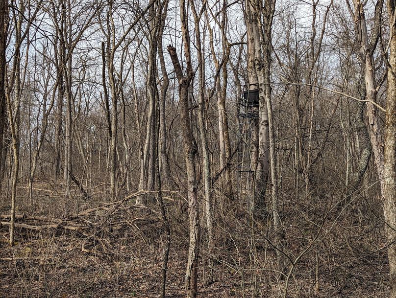 PXL_20230213_155236957