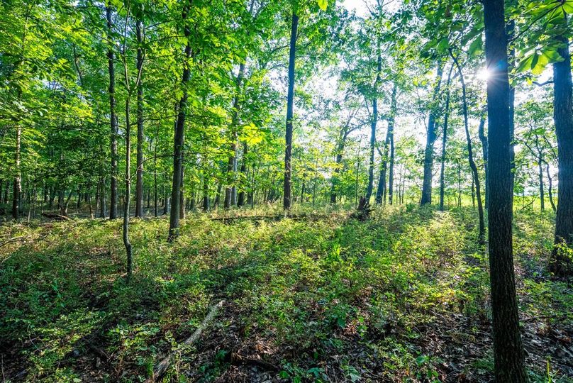 Copy of DSC06190 Large