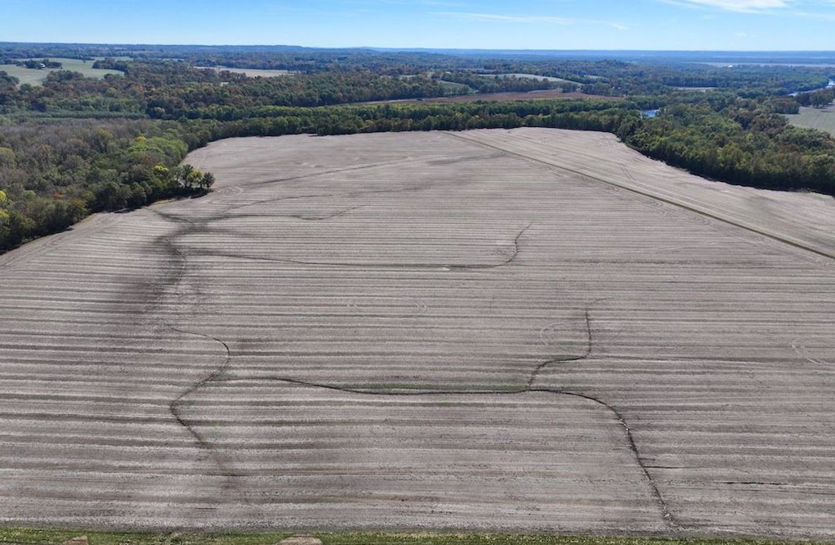 Copy of DJI_20251031124239_0742_D