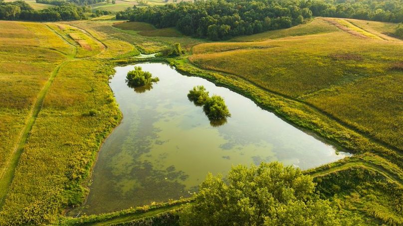 Cedar IA 152 Featured Z49