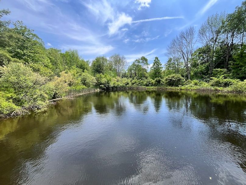 Tioga_78_Biada_Photos_79