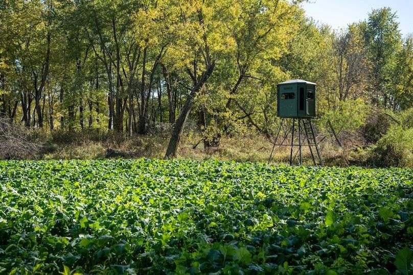 20241028_160351_A55129