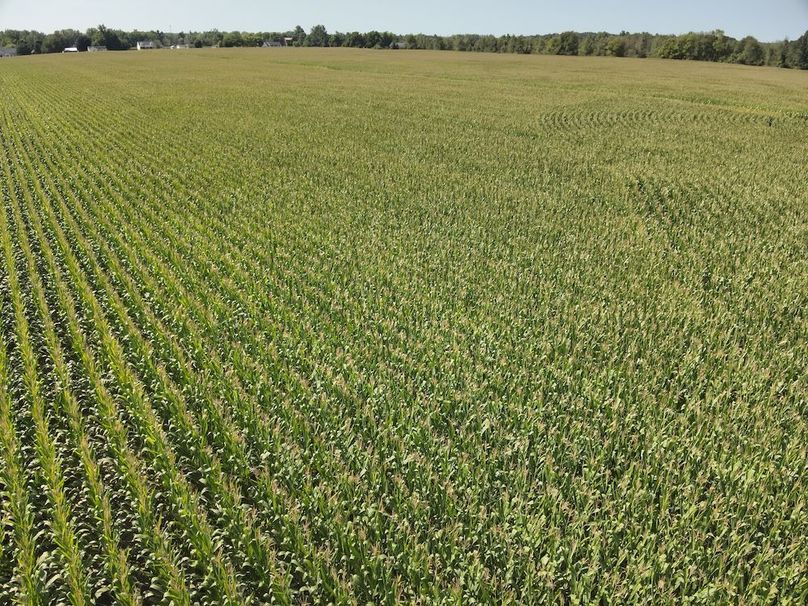 DJI_20240823235646_0020_V