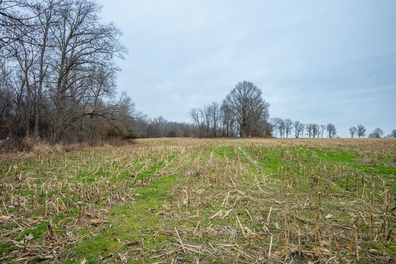 Copy of DSC00727 Large