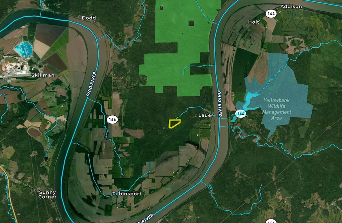 Screenshot 2026-03-03 at 1.30.54 PM