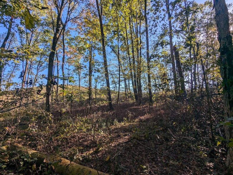 PXL_20251001_204811845