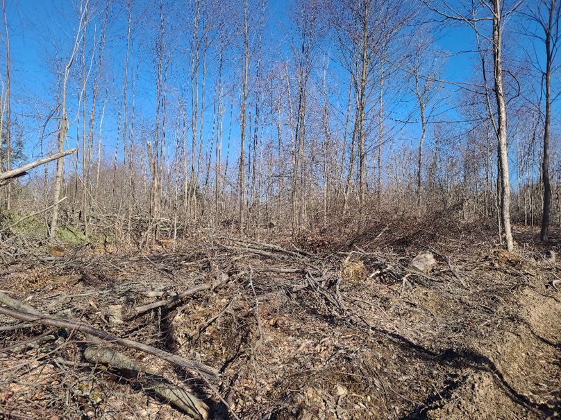 photo_9e17d345-fb2d-4450-8f76-4a064e50f36d