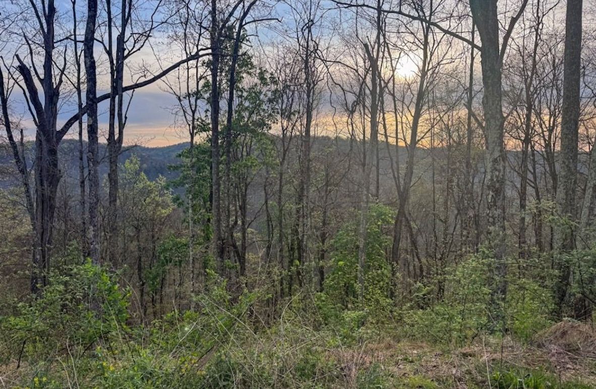 Screenshot 2026-04-21 at 11.35.07 AM