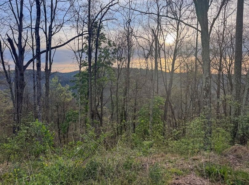 Screenshot 2026-04-21 at 11.35.07 AM