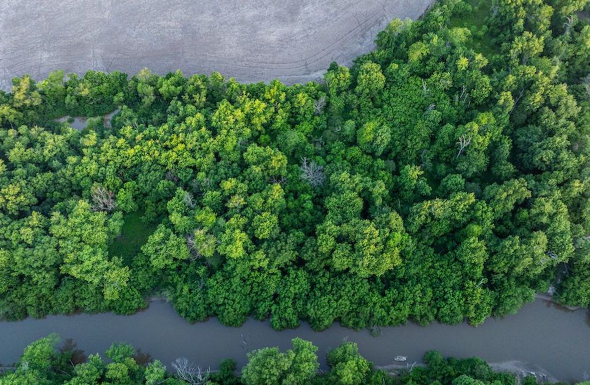 DJI_20260513061854_0004_D