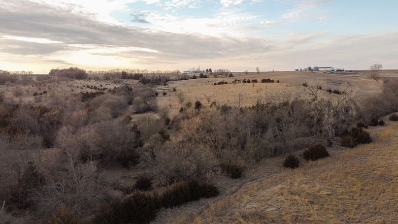 MONTGOMERY CO IA 156.78_38