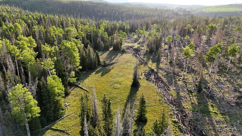 DJI_20250628072145_0206_D