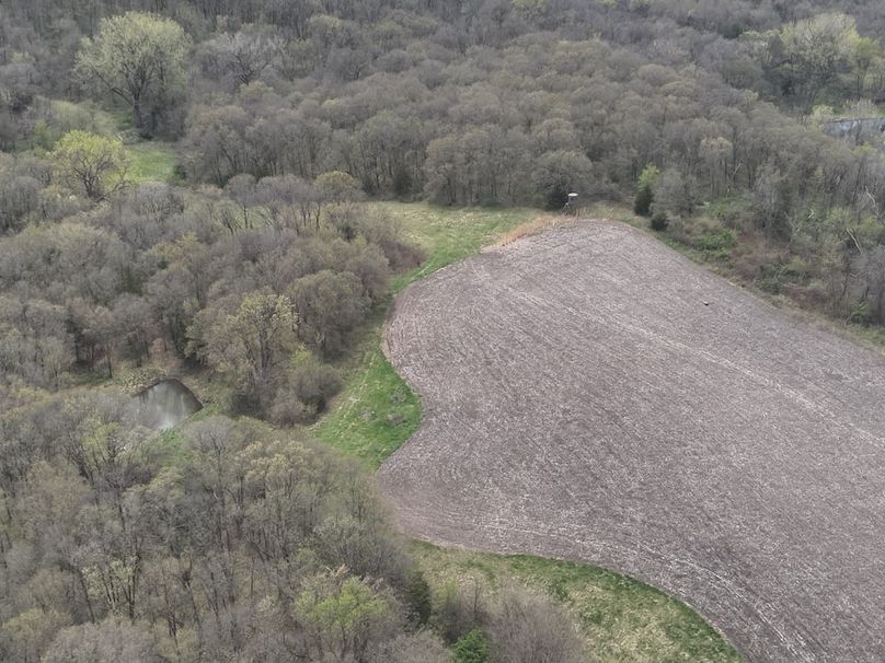 DJI_20250424131444_0011_V