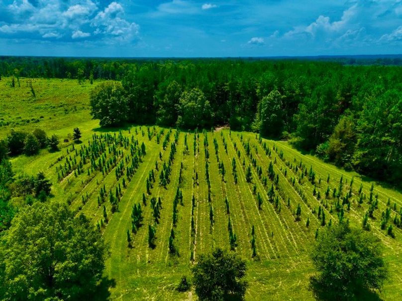 DDA305AD-4CD3-49D9-B6FD-948C3FF0EA6D_1_105_c